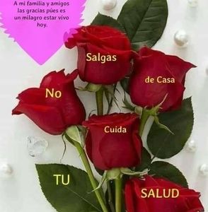 Meet your Posher, Aracely